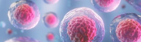 Cancer Biology